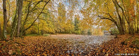 Gemeinde Tarsdorf Bezirk Braunau Huckinger See Herbst Innviertel (Dirschl Johann) Österreich BR